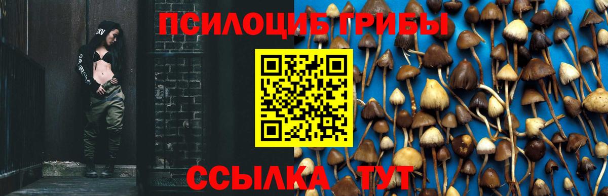 Галлюциногенные грибы Cubensis Долгопрудный